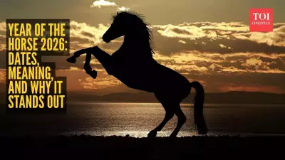 2026 Fire Horse Year: Traditions, Traits & Celestial Events