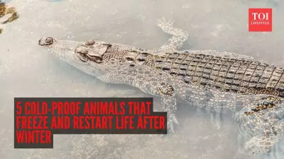 5 Animals That Freeze Solid & Come Back to Life After Winter