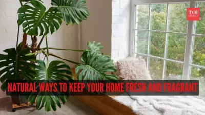 6 Natural Ways to Keep Your Home Fresh and Fragrant Without Chemicals