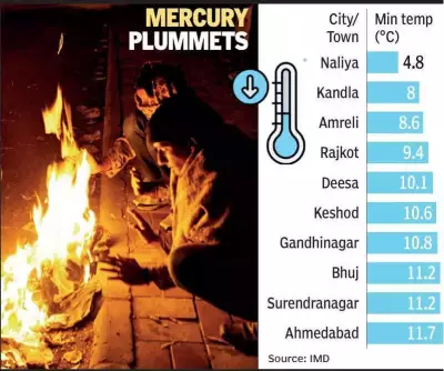 Ahmedabad Hits 11.7°C, Winter's Lowest; Doctors Warn of Viral Surge