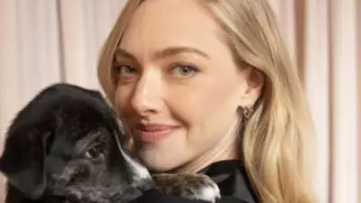 Amanda Seyfried at 40: Raw OCD Journey in Vogue 2026, from Big Love to Motherhood