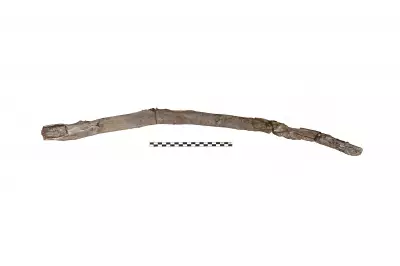 Ancient Wooden Tools Dating Back 430,000 Years Rewrite Human History