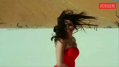 Asin's Journey: From Teen Debut to Rs 100 Cr Hit, Then Exit for Love