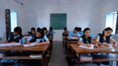 Beyond Classroom Walls: Why Special Needs Support Must Follow Children Everywhere