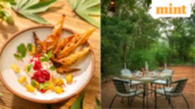 Beyond the Tiger: How India's Safari Lodges Are Redefining Luxury Dining