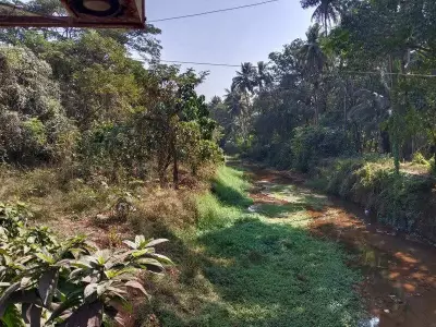 Bicholim Residents Urge WRD to Clear Aark Rivulet Bushes to Prevent Monsoon Flooding
