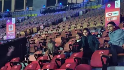 Bird Droppings Halt India Open Badminton Match, Monkey Spotted at Practice Arena