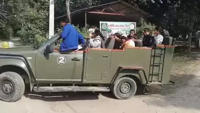 Biting Cold Fails to Deter Tourists at Valmiki Tiger Reserve; Over 75,000 Visit