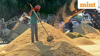 Budget 2026: A Ritual, Not a Remedy for India's Farmers, Says Expert