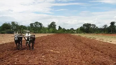 Budget FY27: Agri Sector Demands Tech Boost and Climate-Resilient Infrastructure