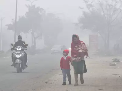 Chandigarh Records 3.8°C as Cold Wave Grips Haryana and Punjab