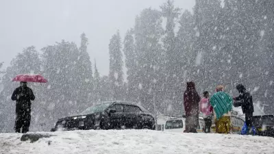 Chillai Kalan 2024: Kashmir's 40-Day Winter Reign Attracts Record Tourists, Army Vigilant