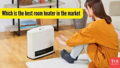 Choosing the Right Room Heater: Oil, Rod, or Blower? A Complete Guide