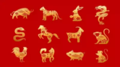 Daily Chinese Horoscope: Zodiac Insights for Today's Energy and Guidance