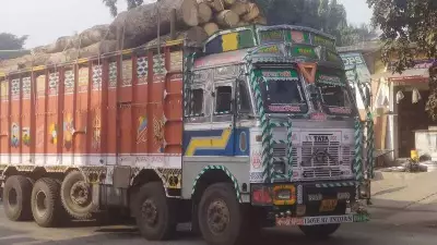 Dehradun AQI Hits 316 as Tree Felling for Asharodi-Jhajra Bypass Sparks Outrage