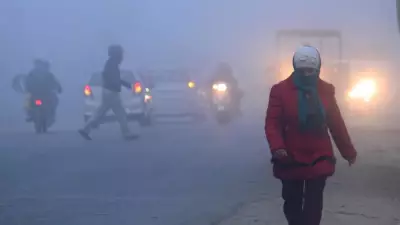 Delhi Records 13-Year Low at 2.9°C, IMD Issues Orange Alert