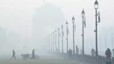 Delhi Records Coldest January Morning in 3 Years at 3°C