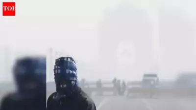 Delhi Shivers at 2.9°C: IMD Reports Intense Cold Wave, AQI Worsens