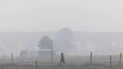 Delhi's Severe Air Quality Streak Ends, Improves to 'Very Poor'