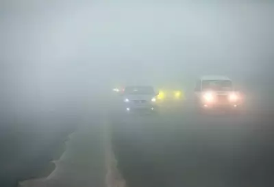 Dense Fog Alert in 11 Jharkhand Districts, IMD Warns of Travel Disruption
