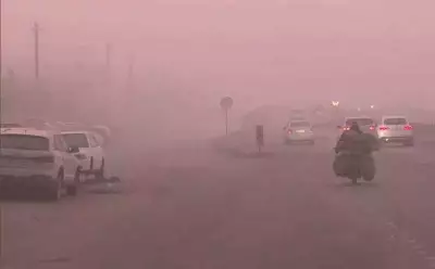 Dense Fog Blankets North India, Zero Visibility in Amritsar Till Jan 7