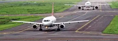 DGCA Addresses Illegal Animal Slaughter Near Navi Mumbai Airport Amid Bird Strike Fears