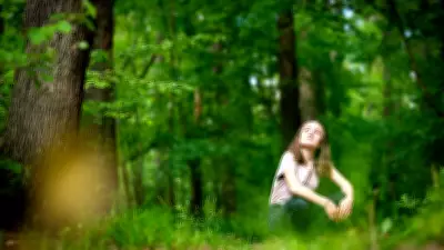 Discover Forest Bathing: The Japanese Art of Nature Immersion for Wellness