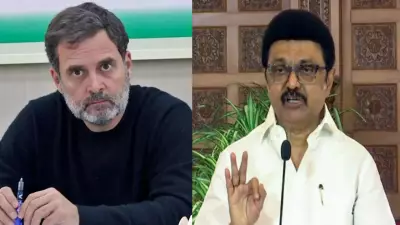 DMK Rejects Congress Power-Sharing Demand, Stalin Firm on Solo Rule in Tamil Nadu