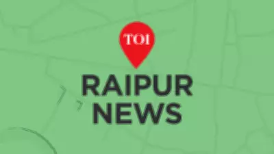 Elephant Calf Dies After Getting Trapped Between Rocks in Raigarh Forest