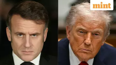 Europe Must Roar Back as Trump Targets Greenland with Tariff Weapons