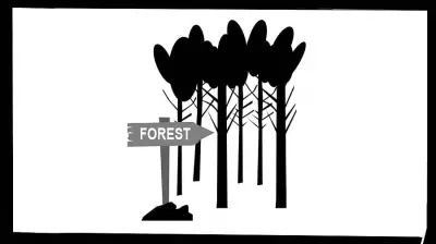 Forest Rule Change Poses Ecological Risks to India's Woodlands