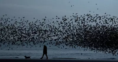 Global Photo Highlights: Golf in Hawaii to Ganga Aarti in Prayagraj