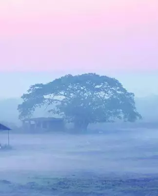 Goa Records Cooler Nights, IMD Predicts Temperature Rise Soon