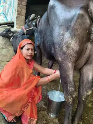 Gorakhpur's Lakhpati Didis: From Struggle to Republic Day Honors