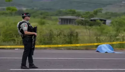 Gunmen Attack Soccer Field in Central Mexico, Leaving Many Dead and Injured