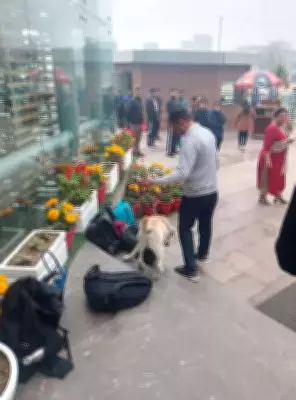 Gurgaon Schools Evacuated After Bomb Threat Emails, Police Confirm Hoax