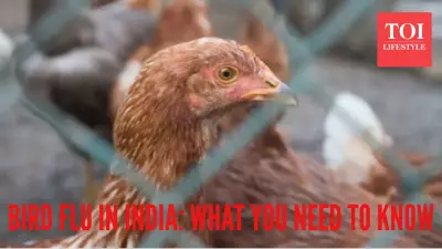 H5N1 Bird Flu Outbreak in India: 41 Cases in 2025, Kerala & Tamil Nadu on Alert