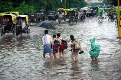 Heavy Rainfall Lashes Tirunelveli & Tenkasi, Dams See Water Level Rise