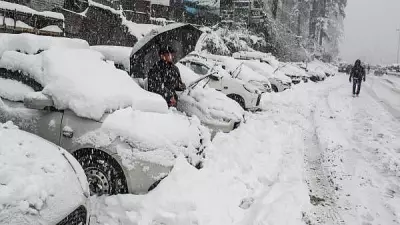 Heavy Snowfall Cripples Himachal Pradesh: 565 Roads Closed, Power Supply Disrupted