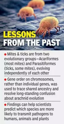 Hyderabad Study: 90 Arachnid Genomes Reveal Mite & Tick Evolution