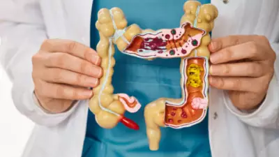 IIT Delhi & AIIMS Develop Smart Pill to Map Gut Microbiome Without Surgery