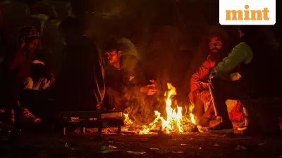 IMD Forecast: Cold Wave & Dense Fog to Grip North, Central, East India Till Jan 14