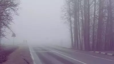 IMD Warns of Severe Winter Spell: Cold Wave, Dense Fog, Heavy Rain from Jan 7