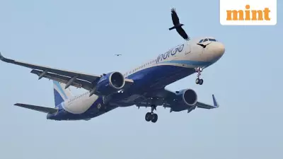 IndiGo Leads Airbus Deliveries Again in 2025 Despite Operational Challenges