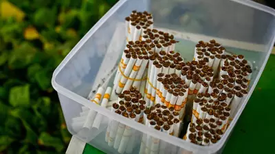 ITC Shares Plunge 5% to 52-Week Low After New Tobacco Excise Duty
