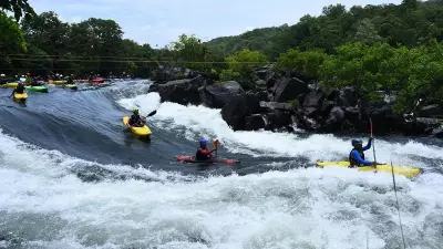 Karnataka Ecotourism Crisis: Industry Demands Scientific Review for Safari Resumption