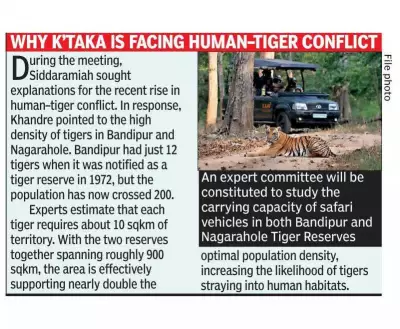Karnataka to Reopen Tiger Safaris Gradually in Bandipur & Nagarahole
