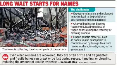 Kolkata Decorators Fire: Forensic Teams Face DNA Challenge in Identifying Charred Victims