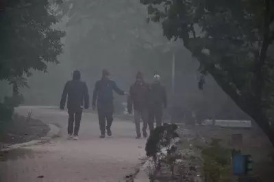 Kolkata's 15-Year Cold Spell Reshapes Daily Life: From Delayed Walks to Heater Rush