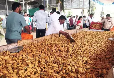 Koppal's Mirchi Balaga Serves 6 Lakh Bajjis at Gavisiddeshwara Jatra